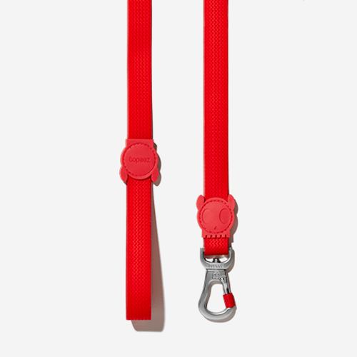 Guia para Cachorros Neopro Coral P