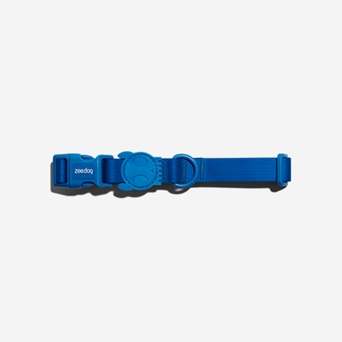Coleira para Cachorros Neopro Azul P