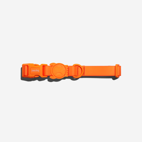 Coleira para Cachorros Neopro Tangerine P