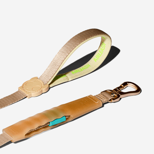 Guia para Cachorros Airleash Kim 1M