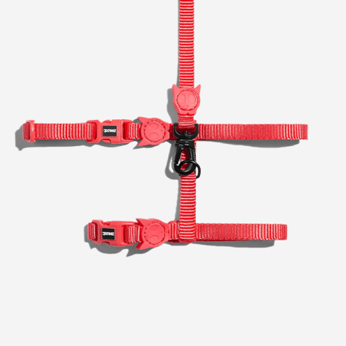 Peitoral com Guia Zee.Cat Neon Coral para Gatos U