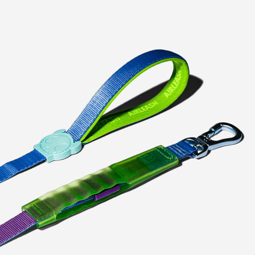Guia para Cachorros Airleash Cali Uno 1M
