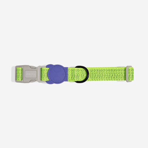 Coleira para Cachorros NOX Lumen P