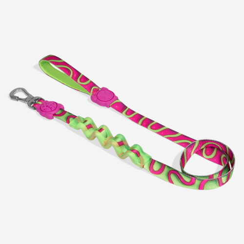 Guia com Amortecedor para Cachorros H3D Jelly P