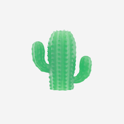 Zee.Pinz Cacto U